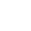 Security Safety
